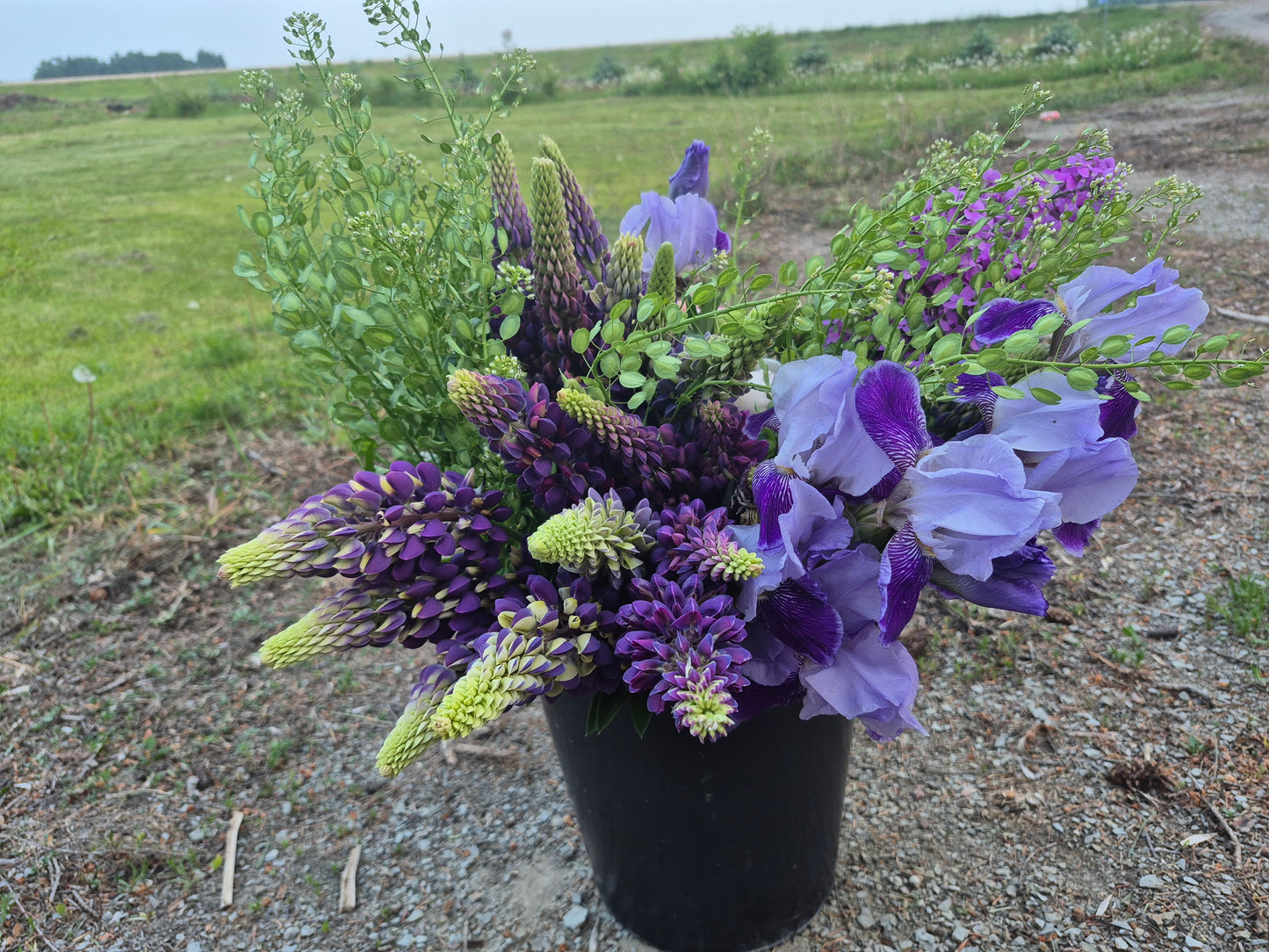 Flower Subscription 2025