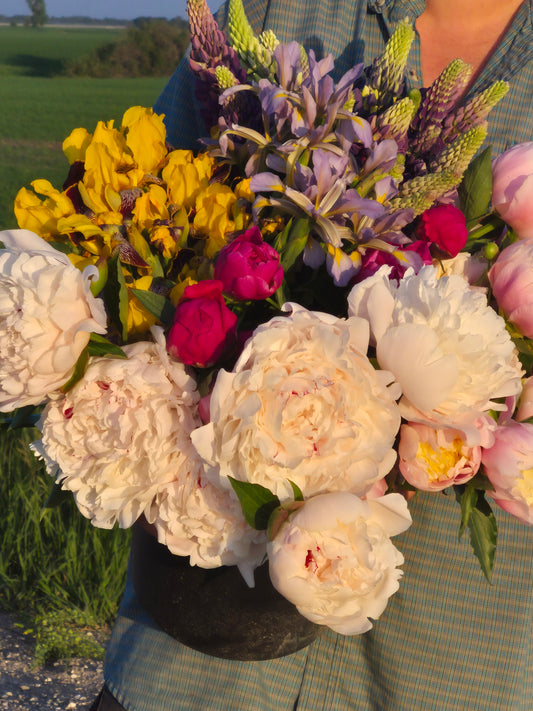 Flower Subscription 2025