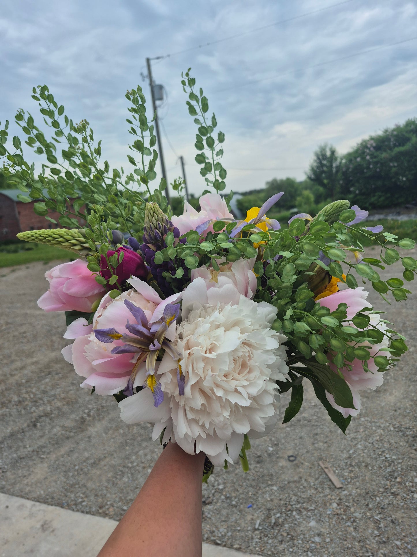 Flower Subscription 2025