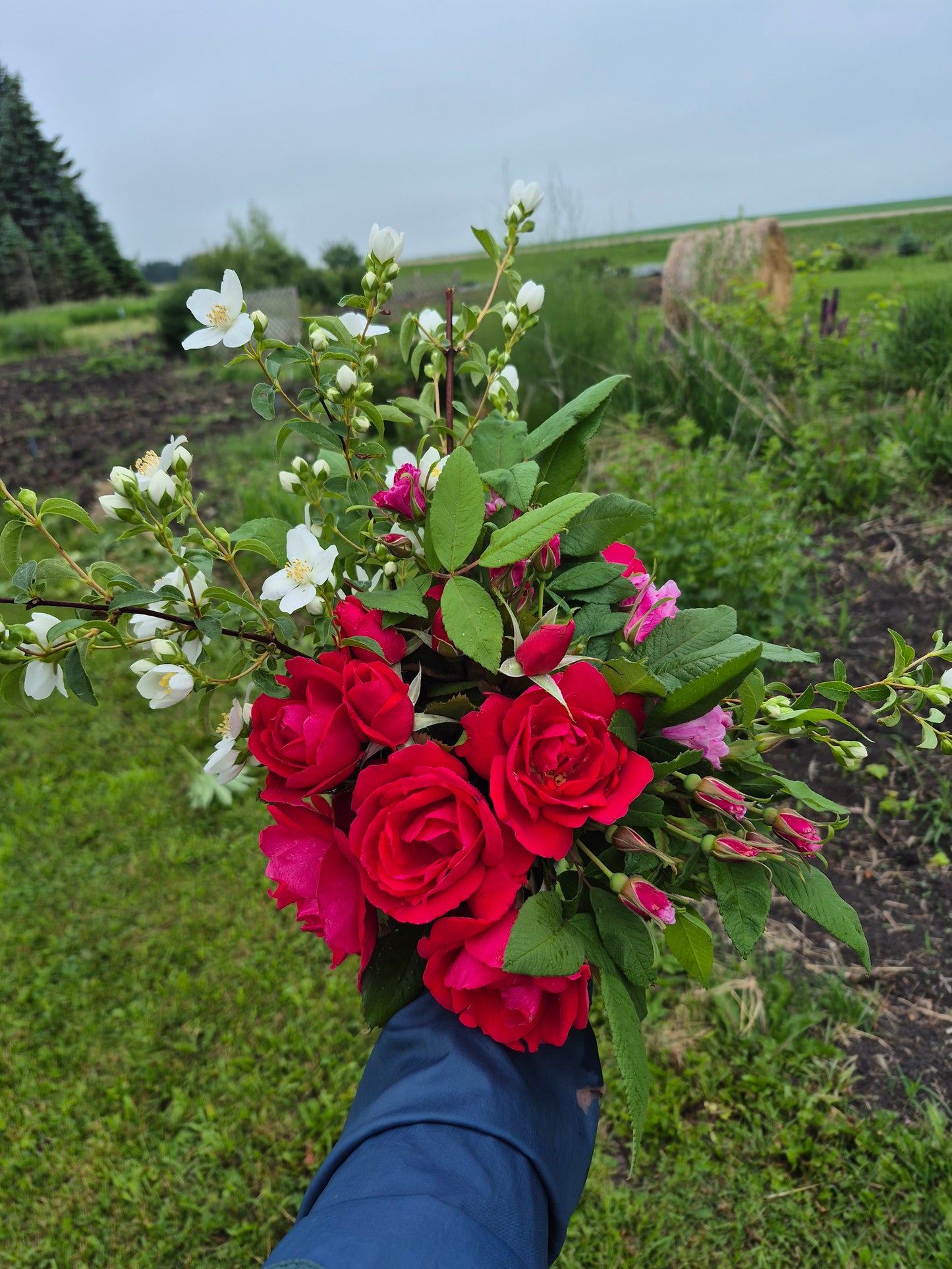 Flower Subscription 2025