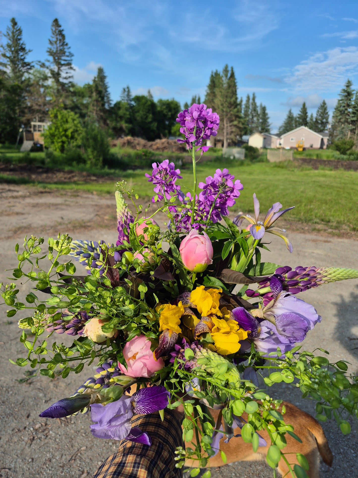 Flower Subscription 2025